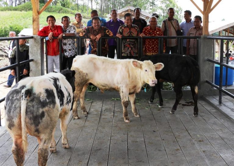 Perdana di Indonesia1