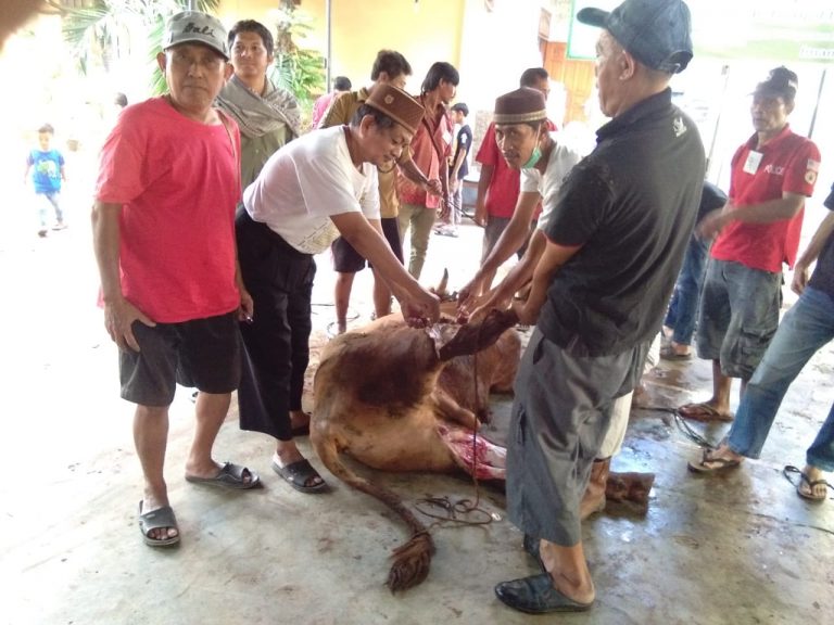 PAC LDII Kel.Jaka Setia Potong 32 Ekor Hewan Qurban