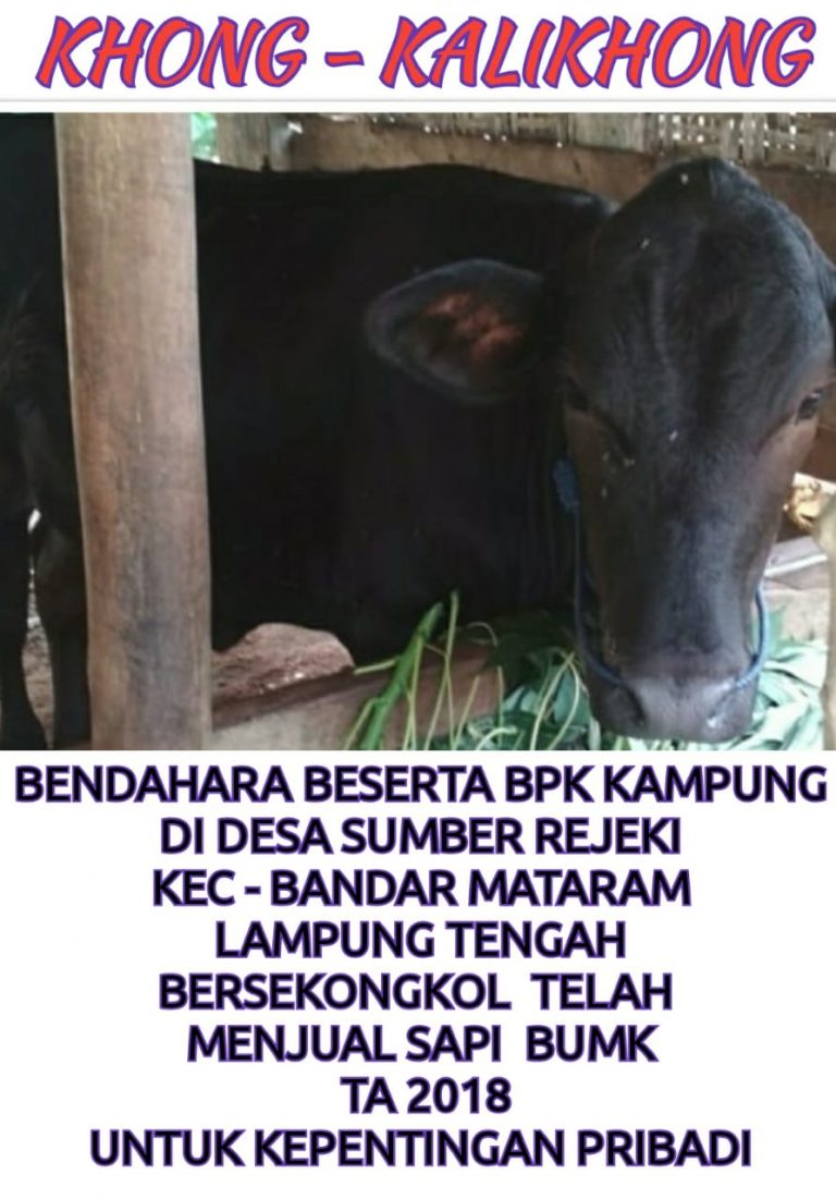 bantuan pemerintah