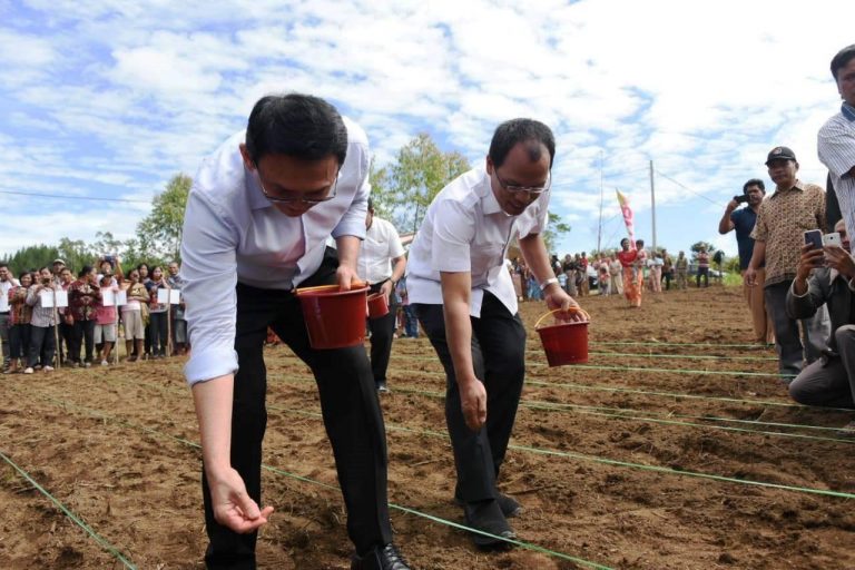 Ahok Lihat Potensi Pertanian di Humbang Hasundutan
