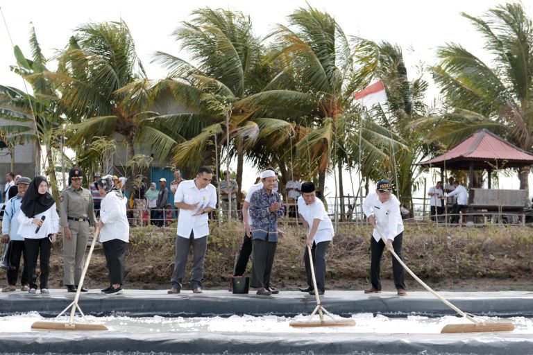 Hasilkan Garam Berkualitas