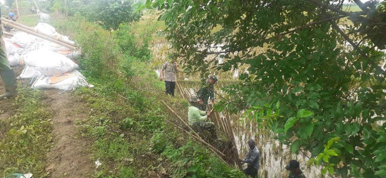 Kades Sumber Reja Enggan Komunikasi Dengan Awak Media, Saat Kegiatan di Wilayahnya