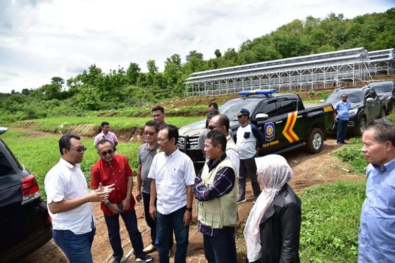 Program Mulai Berproduksi