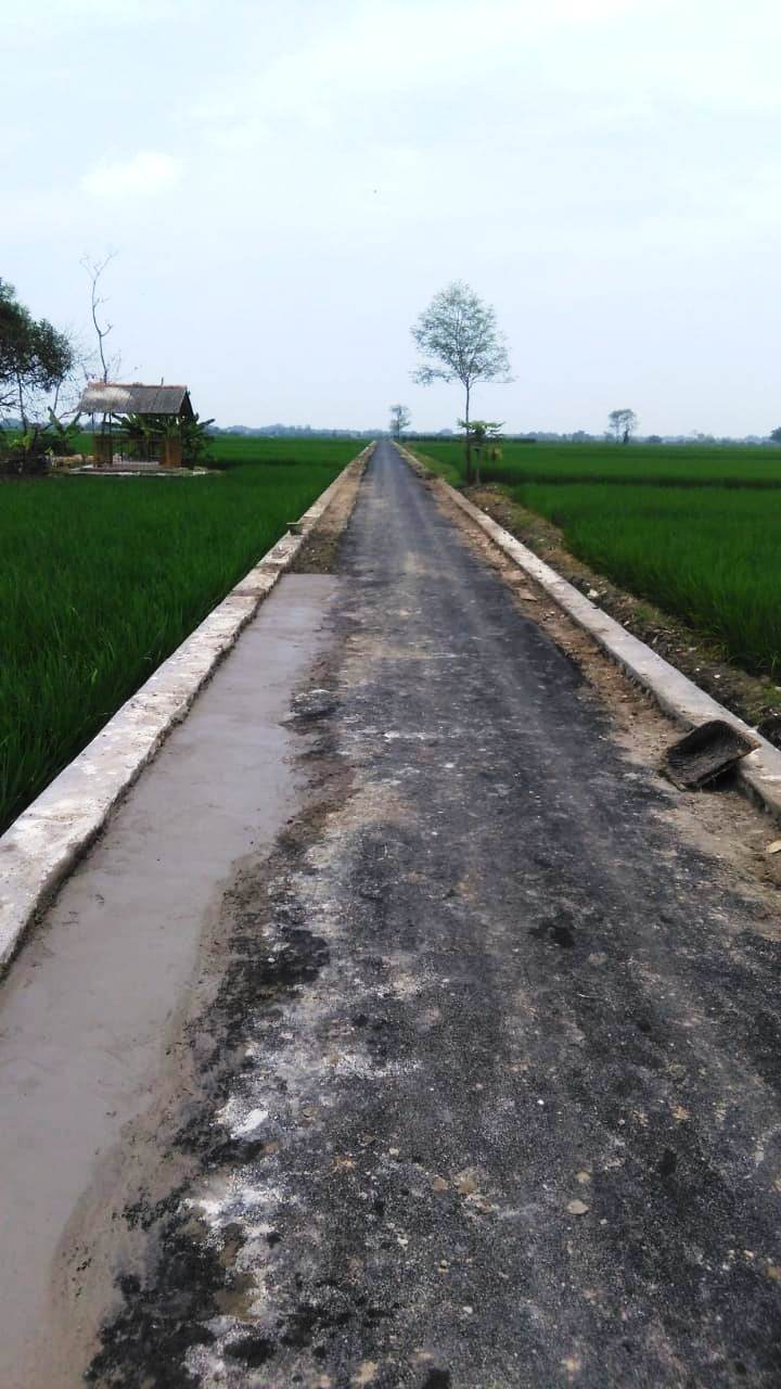 Kuwu Desa Kalideres