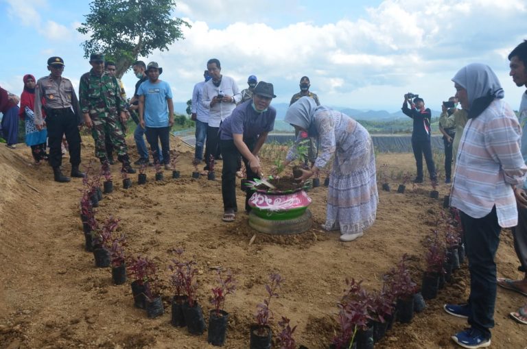 Bupati Lombok Barat Tinjau Proyek Pembangunan Embung Telaga Pandan Wangi Maritim 1