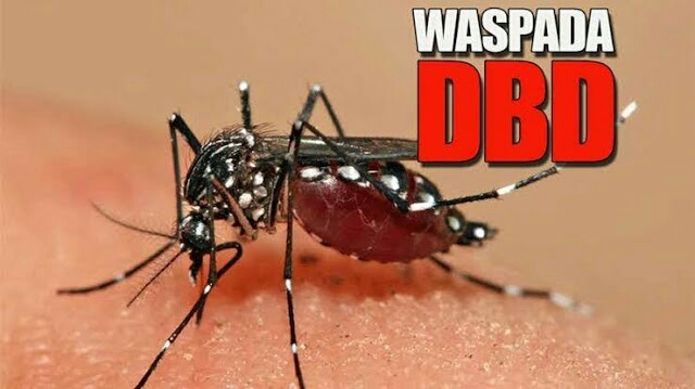 Ditengah masa pandemi Covid-19, Terdapat 684 Kasus Demam Berdarah Dengue (DBD ) di Kota Bekasi