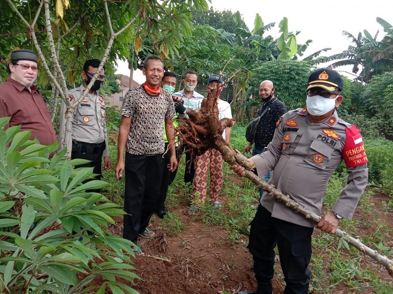 Giat kapolsek curug melaksanakan