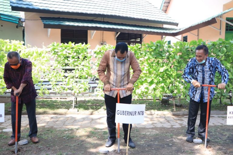 Human Relation Menjadi Pondasi Utama Dalam Bekerja