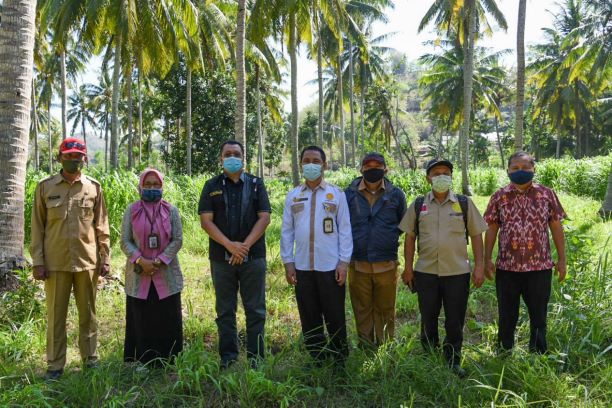Pemerintah Pusat dan Pemerintah Provinsi NTB