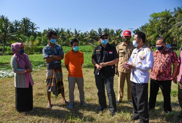 Program 1. 000 Desa Sapi di NTB Segera Terwujud 2