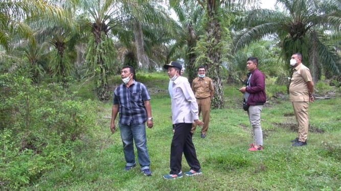 Kepala daerah Pasbar Tinjau Lokasi 3