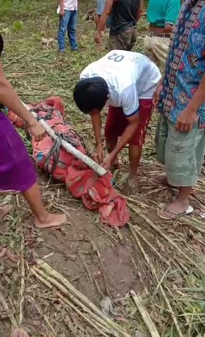 Tragis! Pembunuhan Terhadap Anak Dibawah Umur Kembali Terjadi, Pemuda Nias Mengutuk Keras 1