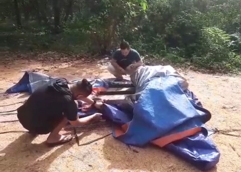 Kabur Saat Digrebek Polisi, Pelaku Judi Sabung Ayam Tinggalkan 7 Ekor Ayam 1