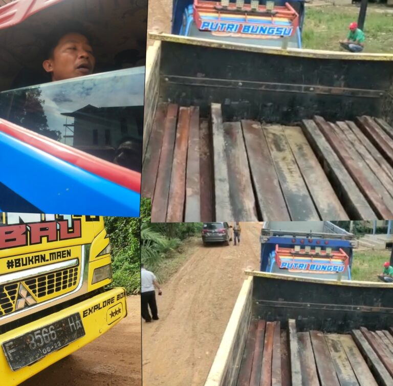 Wow, Supir Truk Pembawa Kayu Ulin Milik Cukong Ilegal Loging Membawa Nama Oknum Aparat Polri 1