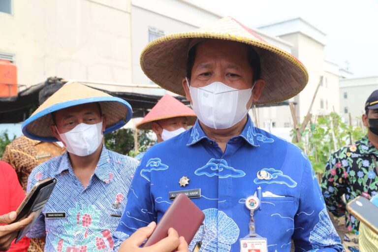 Jakarta Utara Kembali Panen Melon Varietas Unggul, Upaya Ketahanan Pangan Hingga Keasrian Lingkungan 1