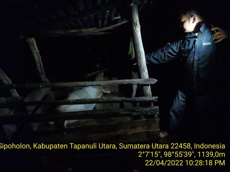 Rugun Manalu Tewas Disambar Petir 1