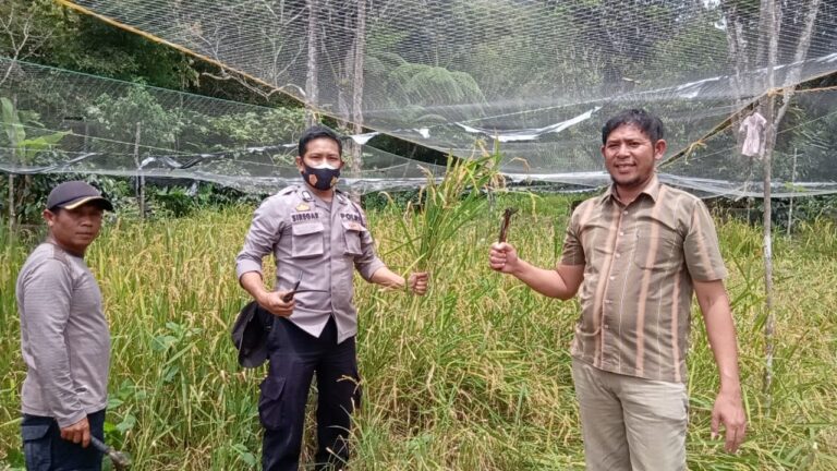 35 Tahun Tak di Fungsikan 1