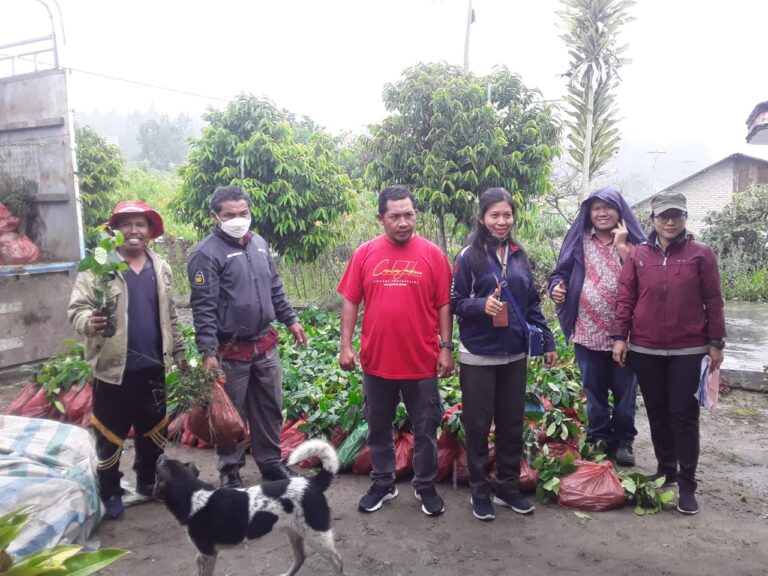 Pemerintah Kabupaten Humbang Hasundutan Salurkan Bantuan Bibit Kopi Arabika 1