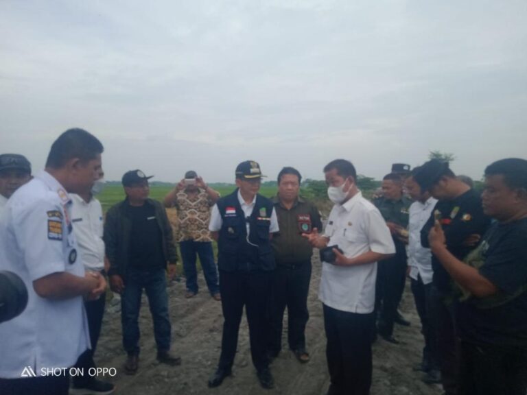 Pj Bupati Bekasi Sidak Jalan Penghubung Antar Desa Karangmukti - Bantarsari yang di Tanami Pohon Pisang 1