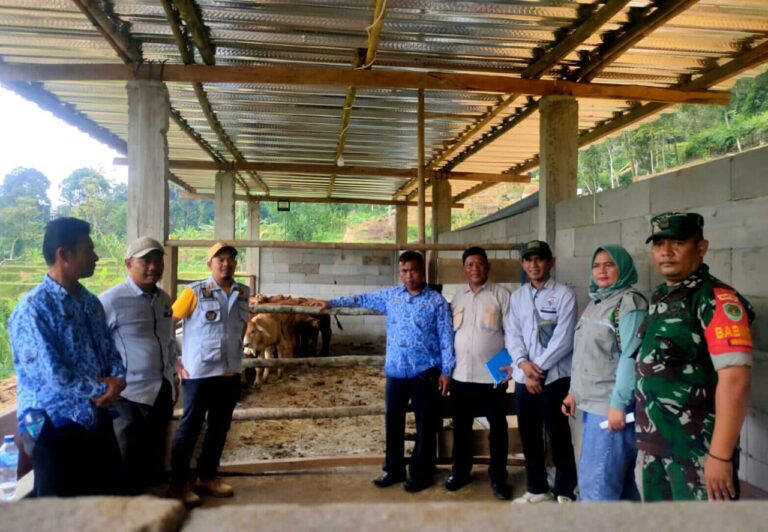 Monev Ketahanan Pangan Desa Pangkal Jaya 1