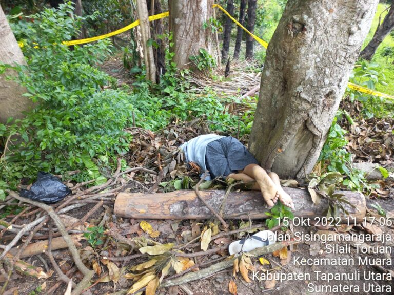 Terjadi Baku Hantam Antara Abang Adik, 1 orang Tewas Akibat Kena Pukul Kayu 2