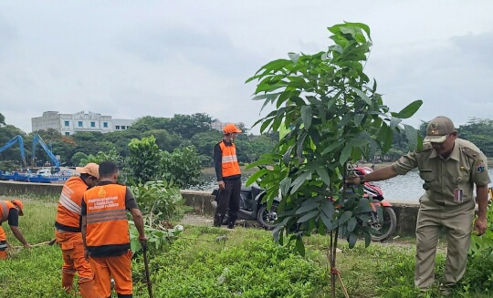 Hijaukan Kawasan Waduk Cincin, Kelurahan Papanggo Tanam Puluhan Pohon Pelindung