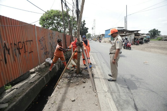 Sejukan Jalan Raya Logistik, Kelurahan Tugu Selatan Tanam 35 Pohon Tabebuya