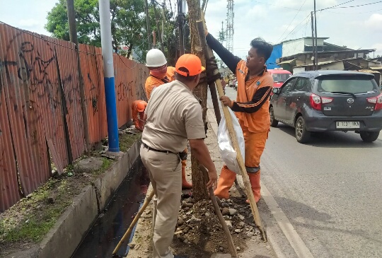 Wilayah Tugu Selatan Ditanami 150 Pohon