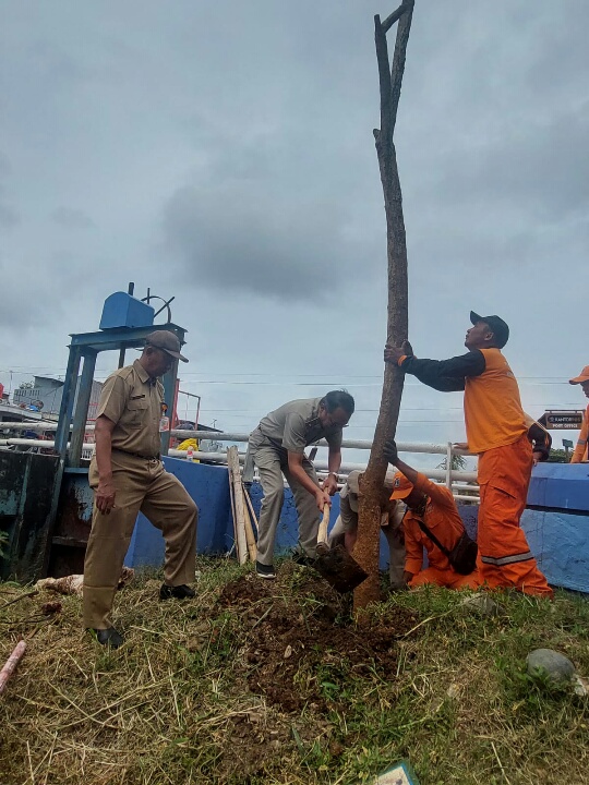 Akhir Bulan Februari 2023, Kelurahan Sunter Agung Targetkan Menanam Sebanyak 600 Pohon