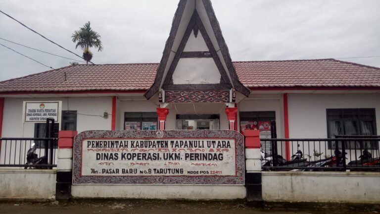 Dinas Perindag Salurkan Bantuan Alat Tenun dengan Sistem Perkelompok di Tapanuli Utara