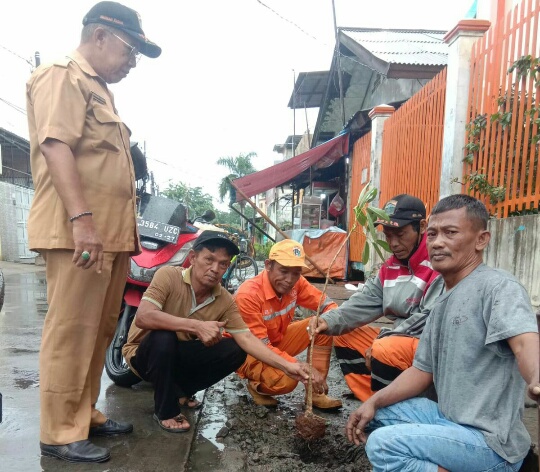 Kelurahan Lagoa Ajak Masyarakat Berperan Aktif Menanam Pohon Di Lingkungan Tempat Tinggalnya