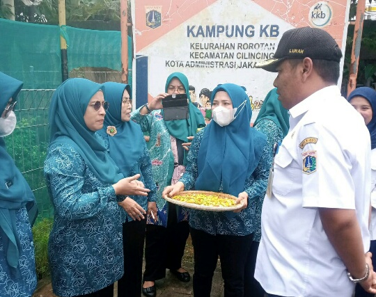 Kelurahan Rorotan Kembangkan Budidaya Tanaman Cabai