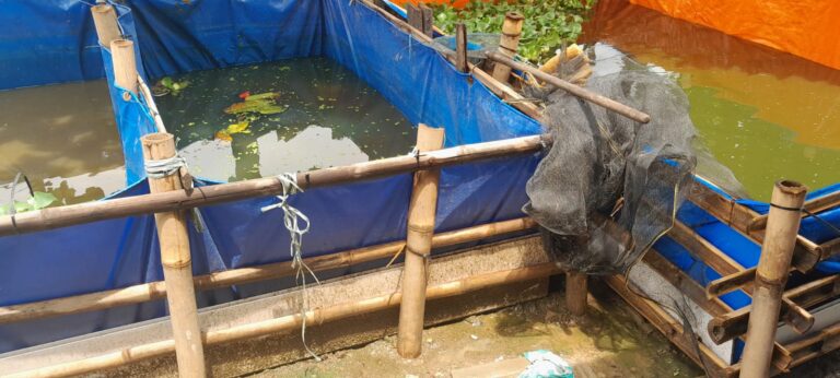 Terindikasi Dugaan KKN Pada Program Ketahanan Pangan di Desa Karang Anyar