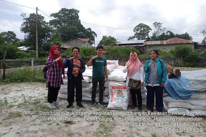 Kementan RI Beri Bantuan Bibit Bawang Merah dan Organik bagi Petani di kabupaten Humbang hasundutan 1